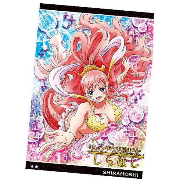 lead-netstore_132106s97oput18