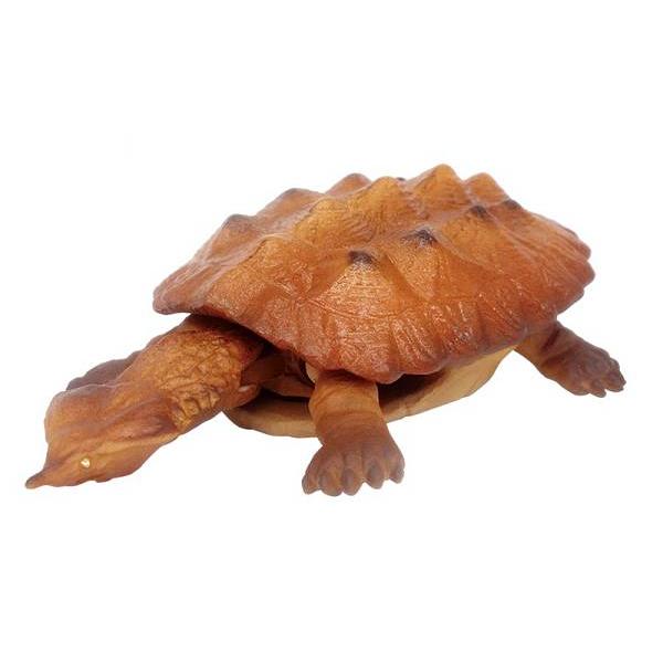 マタマタ A】 あそべる生物フィギュアシリーズ 世界の亀たち2 : トレカ