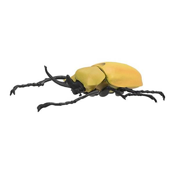 エレファスゾウカブト】昆虫王 : トレカショップ LEAD. - 通販 - Yahoo