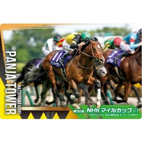 【No.4-026 パンジャタワー 第30回NHKマイルカップ(GI)】サラブレッドホースコレクション ツインウエハース 第4R