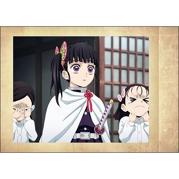 04.中原すみ＆栗花落カナヲ＆寺内きよ】鬼滅の刃 ぱしゃこれ 其ノ肆