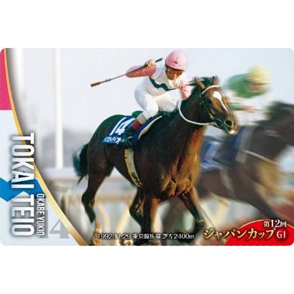 No.2-021.トウカイテイオー 第12回ジャパンカップ(GI)】サラブレッド