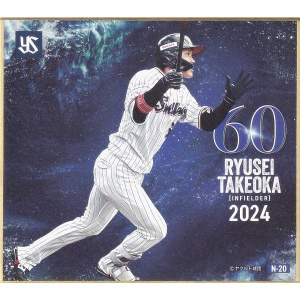 N-20 武岡龍世 (ノーマルmini色紙) 】 東京ヤクルトスワローズ〜2024