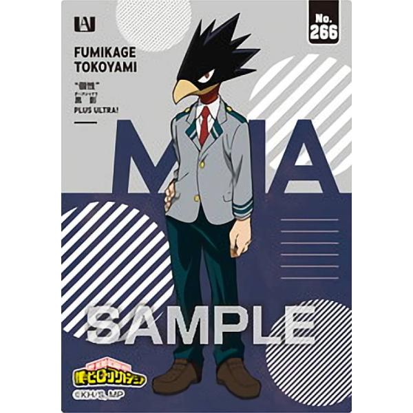 ホークス 常闇踏陰 カード類 まとめ売り ホークス 常闇踏陰 カード類 まとめ売り