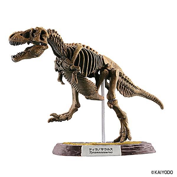 1.ティラノサウルス骨格 化石カラー】恐竜マスター5 : トレカショップ