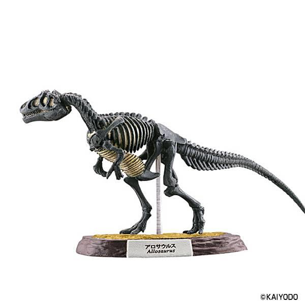 3.アロサウルス骨格 化石カラー】恐竜マスター5 : トレカ 3.アロサウルス骨格 化石カラー】恐竜マスター5 : トレカ