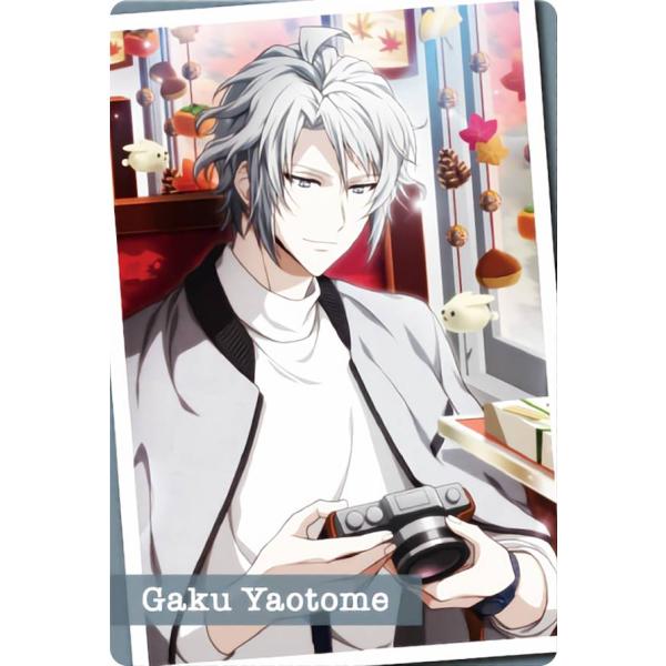 lead-netstore_172212s97i7ut24