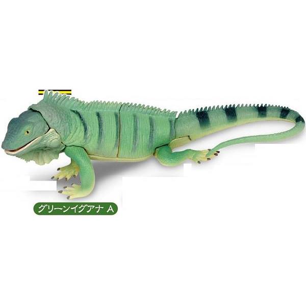 グリーンイグアナ A】あそべる生物フィギュアシリーズ トカゲ