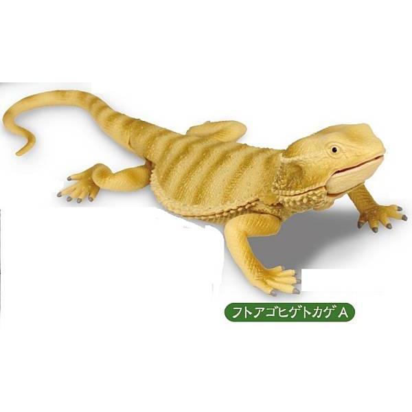 フトアゴヒゲトカゲ A】あそべる生物フィギュアシリーズ トカゲ