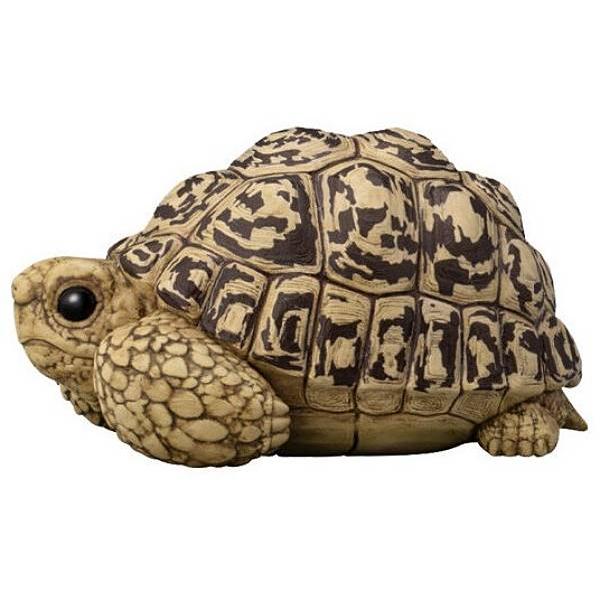 ヒョウモンリクガメ】てのりフレンズ11 : トレカショップ LEAD. - 通販