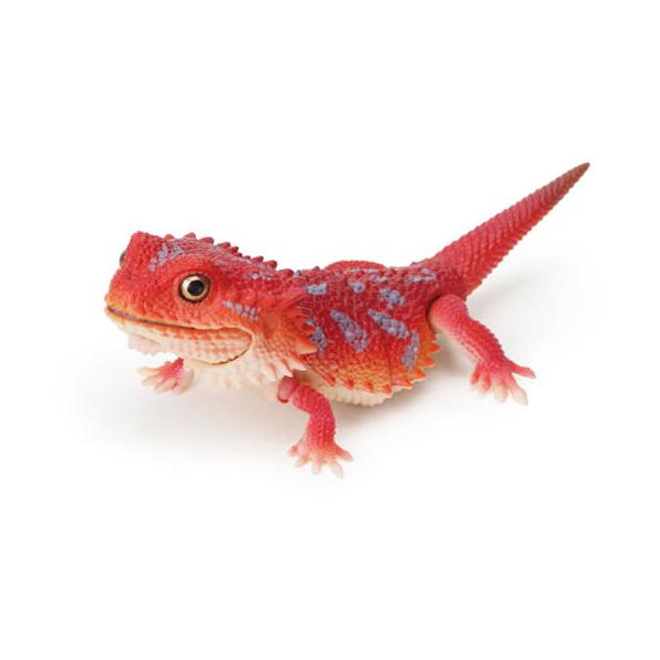 フトアゴヒゲトカゲ（スーパーレッド）】いきもの大図鑑レプティ