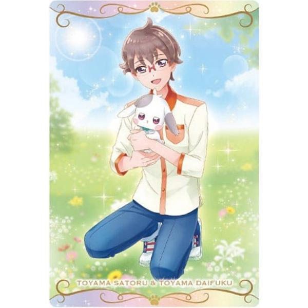 【お値下げ】わんぷり 兎山悟 カード類まとめ売り P07 兎山大福＆兎山悟】わんだふるぷりきゅあ！ざ・むーびー！キラキラ