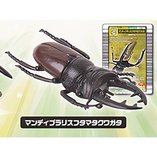 マンディブラリスフタマタクワガタ】 甲虫王者ムシキング ANNIVERSARY