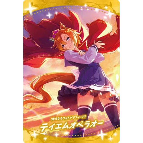 東ハト 競馬カード テイエムオペラオーのフォルダ カード200枚