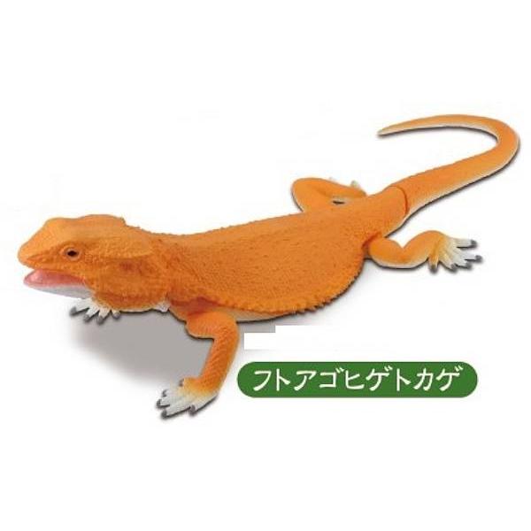 フトアゴヒゲトカゲ】あそべる生物フィギュアシリーズ トカゲ フトアゴヒゲトカゲ】あそべる生物フィギュアシリーズ トカゲ