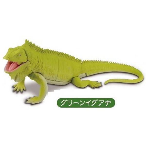 グリーンイグアナ】あそべる生物フィギュアシリーズ トカゲキングダム
