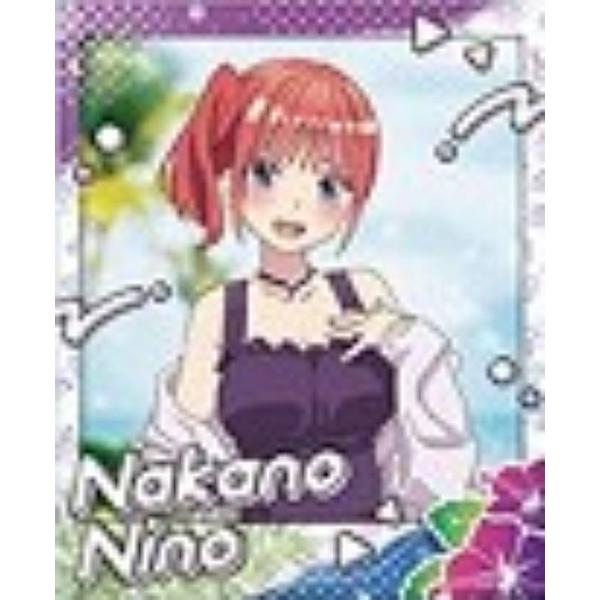 lead-netstore_202502s118gsk07