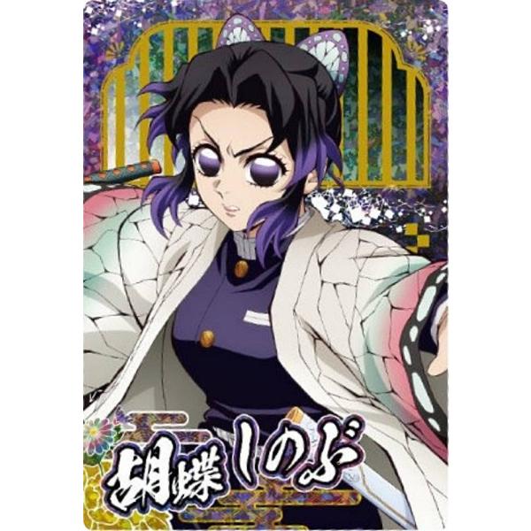 鬼滅の刃 煉獄杏寿郎 胡蝶しのぶ ホログラムカードセット 鬼滅の刃 煉獄杏寿郎 胡蝶しのぶ ホログラムカードセット TV