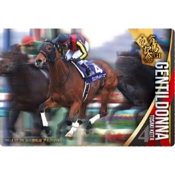 No.3-006.ジェンティルドンナ 第59回有馬記念GI】サラブレッドホース