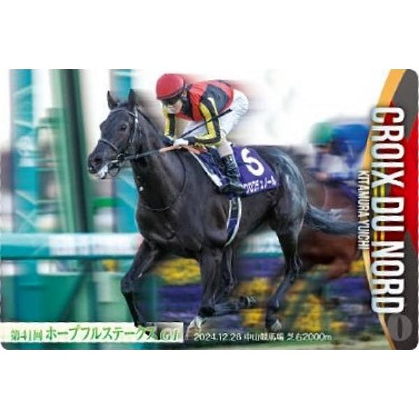 No.3-029.クロワデュノール 第41回ホープフルステークスGI