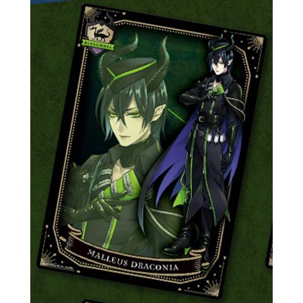 lead-netstore_212008s170twt19