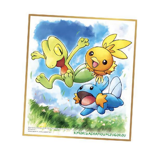 1.キモリ&アチャモ&ミズゴロウ】 ポケモン 色紙ART 3 : トレカ 1.キモリ&アチャモ&ミズゴロウ】 ポケモン 色紙ART 3 : トレカ