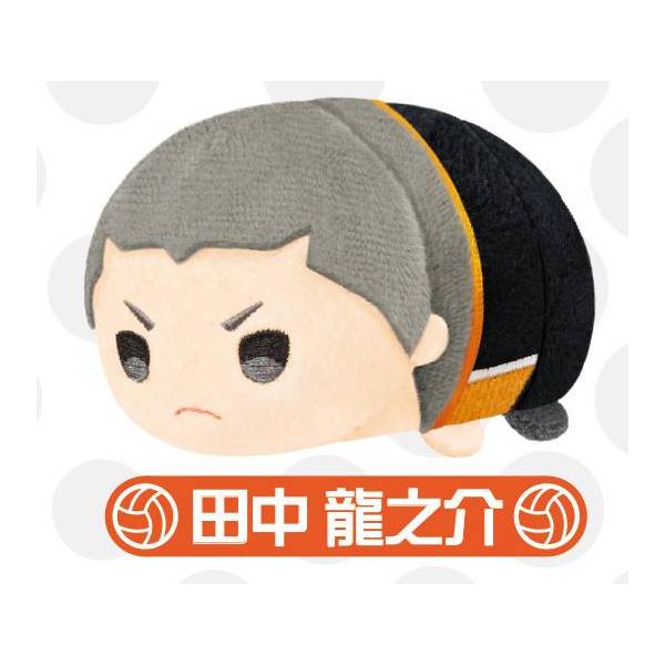 田中龍之介もちもちマスコットミニ 10個セット おてもち