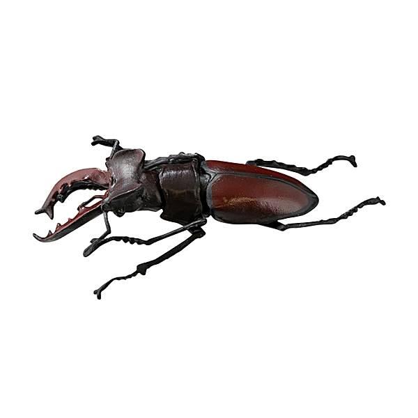 ヨーロッパミヤマクワガタ】昆虫ハンター 2024 : トレカショップ LEAD