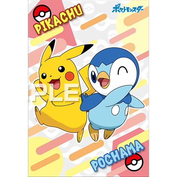 ピカチュウ＆ポッチャマ】ポケットモンスター ポケモンブロマイドガム