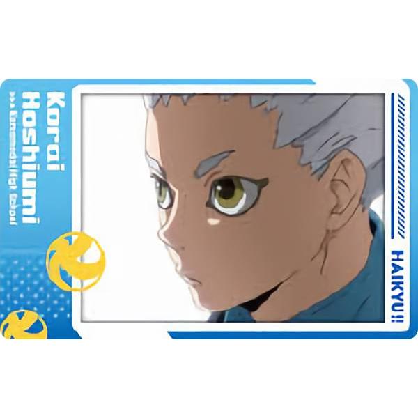 星海光来 ハイキュー To The Top スナップマイド s59hkpt48 トレカショップ Lead 通販 Yahoo ショッピング