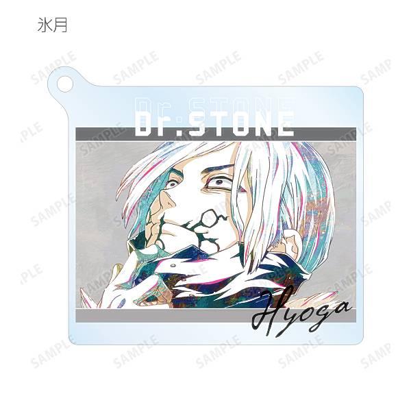 氷月】 Dr.STONE トレーディングAni-Artアクリルキーホルダー : トレカ