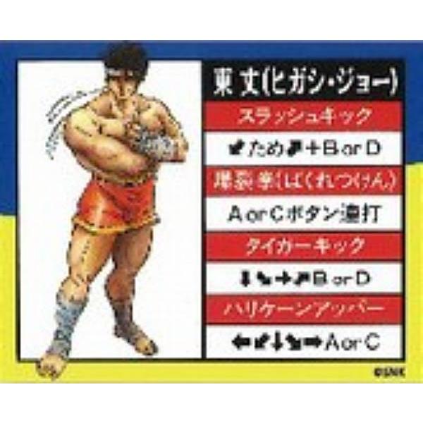 東丈】餓狼伝説SPECIAL 技表マグネット : トレカショップ LEAD. - 通販