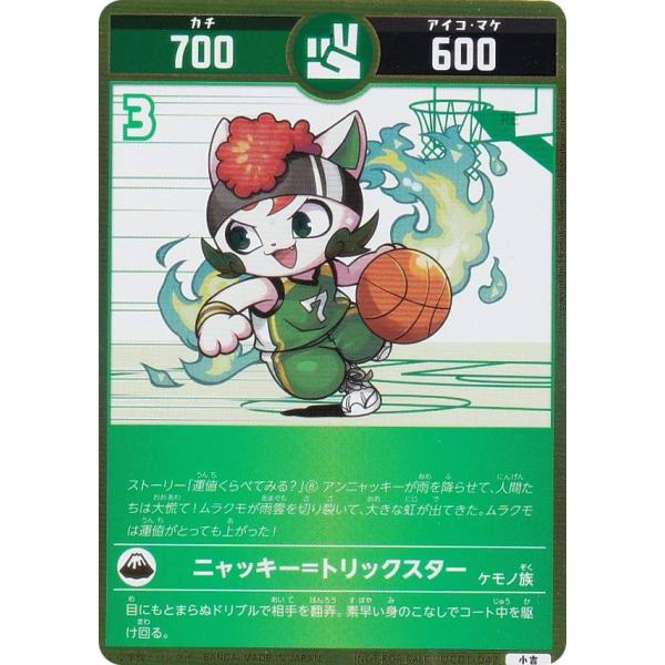 lead-netstore_2411cr122410tt006