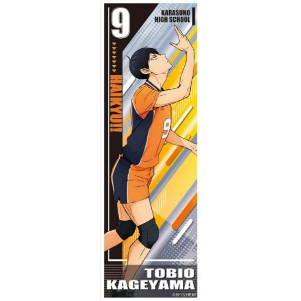 lead-netstore_242212s33hlk02