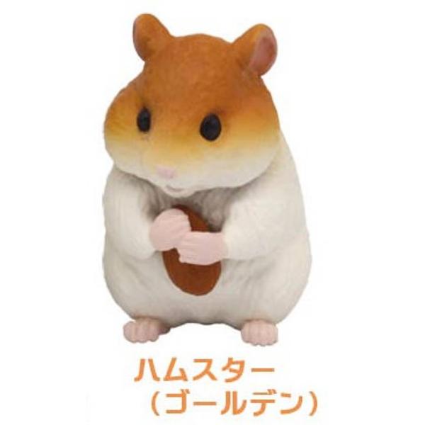 lead-netstore_242305s186cdk4