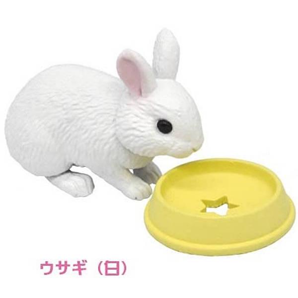 ウサギ(白)】カプセルアニア ちいさなおせわ動物編 : トレカショップ 