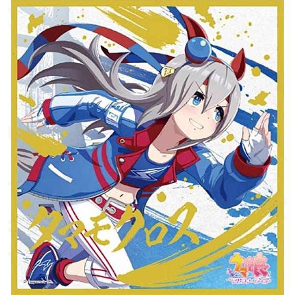 タマモクロス】ウマ娘 プリティーダービー ビジュアルアート