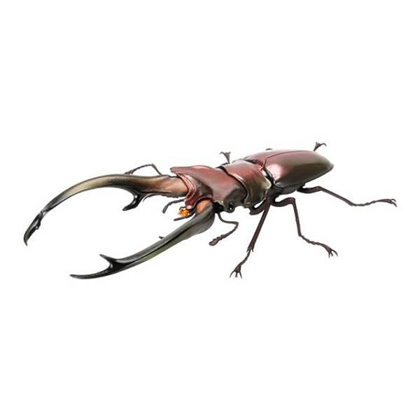 昆虫大図鑑、エラフスホソアカクワガタ、ギラファ等、ヘラクレスオオカブト Amazon | いきもの大図鑑くわがた07《エラフスホソアカクワガタ