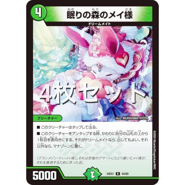lead-netstore_24ex1202407mr4s044