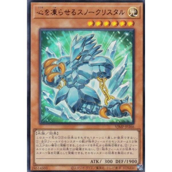 lead-netstore_2504vj212502tt1