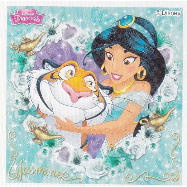 No.81 ジャスミン＆ラジャー】 ディズニープリンセス キラキラ