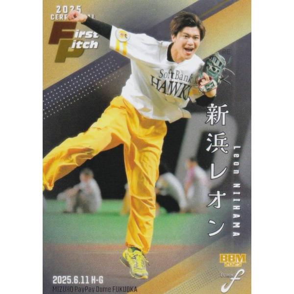 lead-netstore_25fu282511tt359