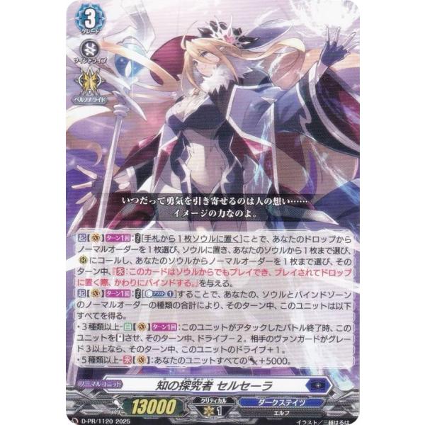 ヴァンガードプロモカード④ ヴァンガード D-PR/1120 知の探究者 セルセーラ (PR プロモ) 年刊