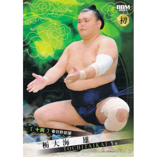 BBM 2025 大相撲カード 66 栃大海 雄(初) 十両 (レギュラーカード)