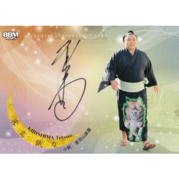 lead-netstore_25ozm2152505mr084