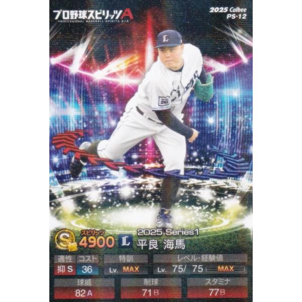 lead-netstore_25psa112512ttp012