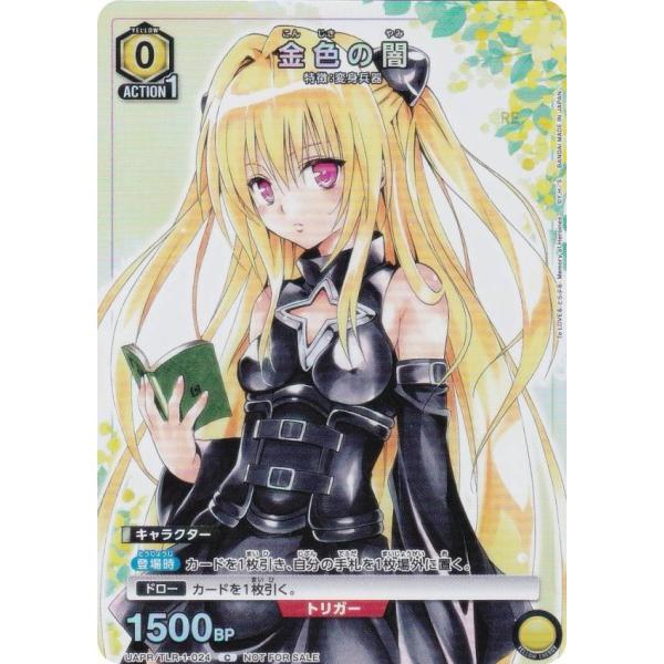 lead-netstore_2601vj202511tt2