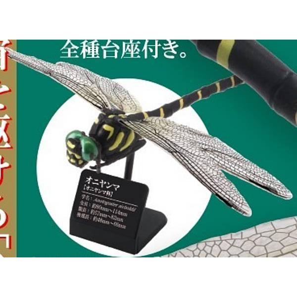 オニヤンマ 原色図鑑シリーズ 日本のトンボ s248ntk1 トレカショップ Lead 通販 Yahoo ショッピング
