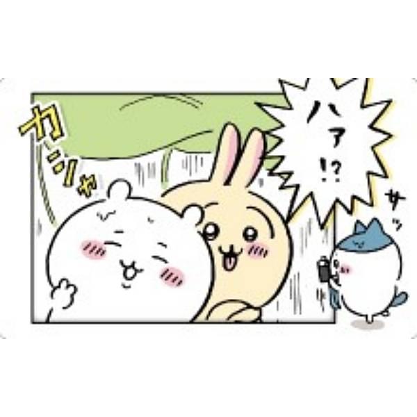 ちいかわ うさぎ 40点詰め合わせ 40.ちいかわ＆ハチワレ＆うさぎ(ハァ!?)】ちいかわ スナップ