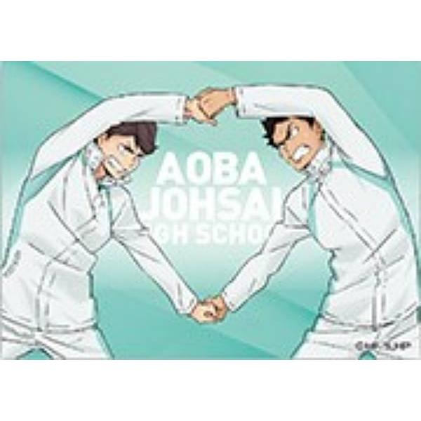 及川徹＆岩泉一(アップ)】ハイキュー!! トレーディングホロステッカー 